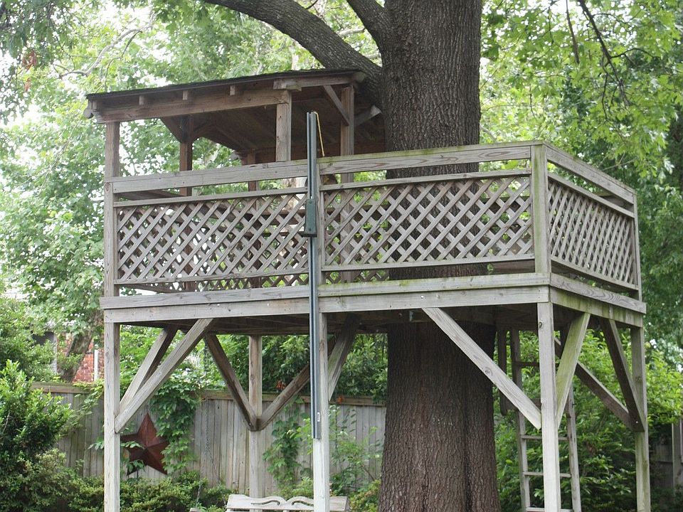 Large oak tree with treehouse provides shade for the thick fescue grass