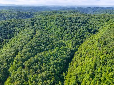 9999 Baker Fork Rd, Wooton, KY, 41776