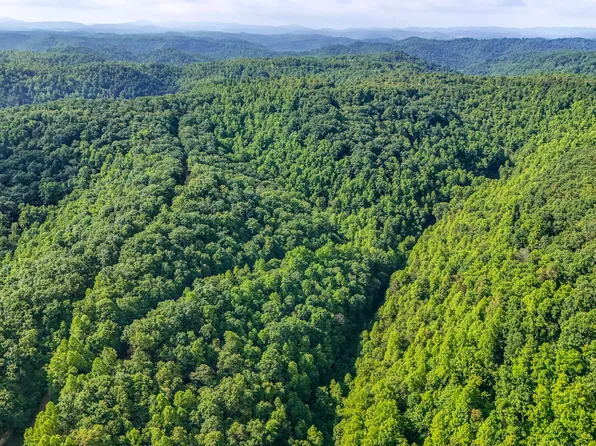 9999 Baker Fork Rd, Wooton, KY 41776