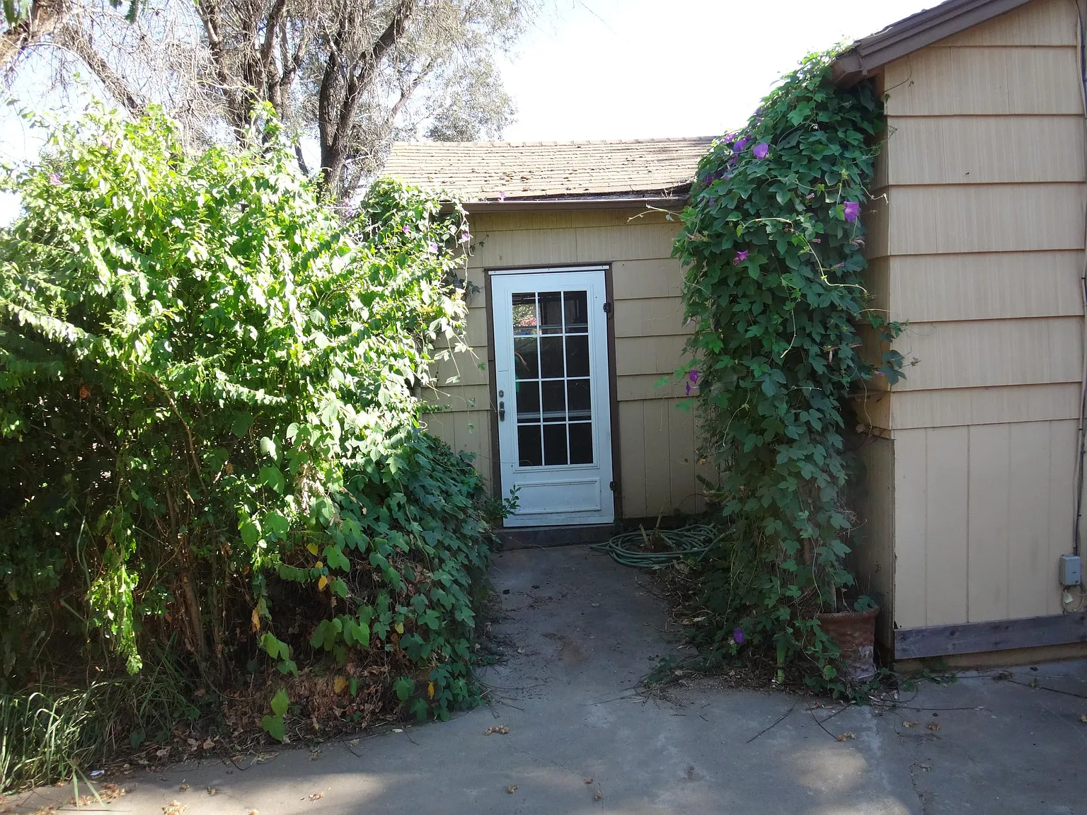 2 bed, 1000 sqft, $2,195 — Photo 2