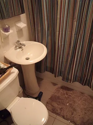 Rented by Kings Court Real Estate | media 22