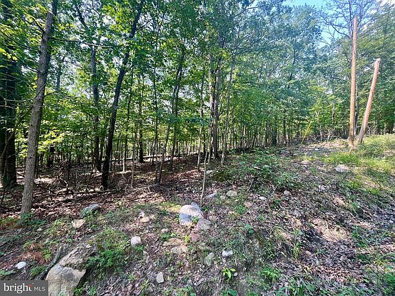 4th image of Cross Creek Rd