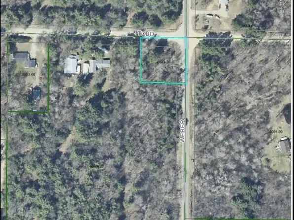 Todd Rd, Whitehall, MI 49461
