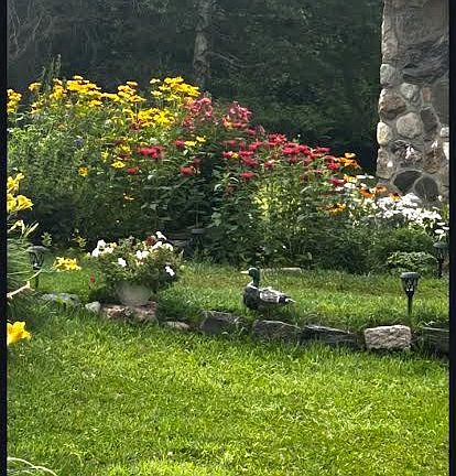 5th image of 2551 Yearley Rd