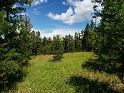 LOT 98 Foxwood Rd, Helmville, MT, 59843