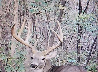 2 State Aa Rd, Roach, MO 65787