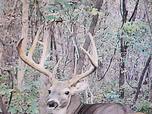 2 State Aa Rd, Roach, MO 65787