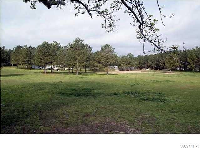 2nd image of 675 Dairy Farm Rd