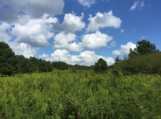 2380 Jones Chapel Rd, Springville, AL 35146