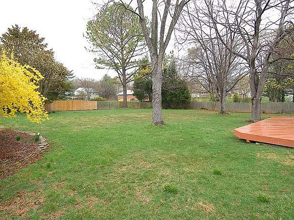 Back yard