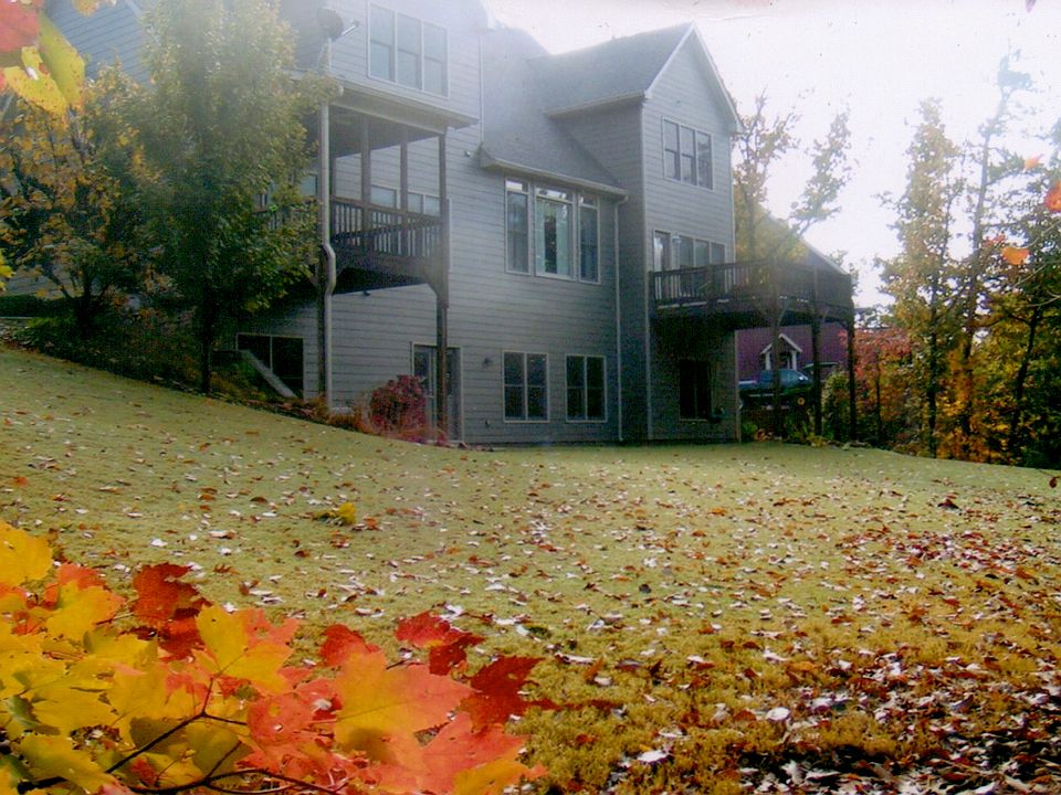 backyard view of house