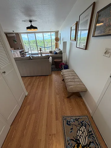 955 Eudora St #802E Photo 1