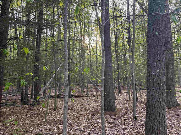 2nd image of Lot 80 Currier Road