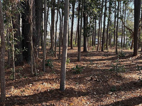 5th image of TBD Mineola Ave. Lot 5