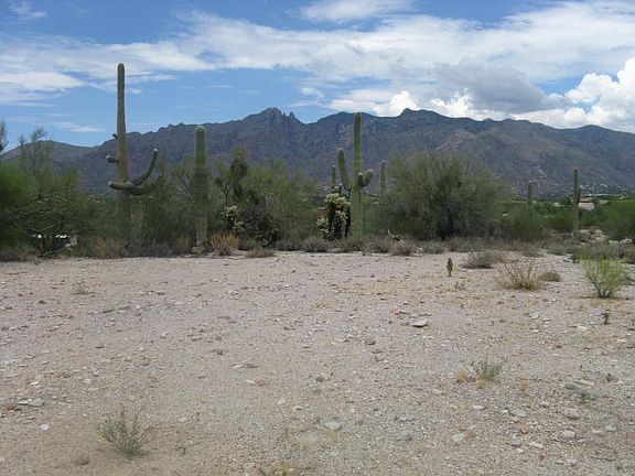 3rd image of 5179 N Camino Antonio