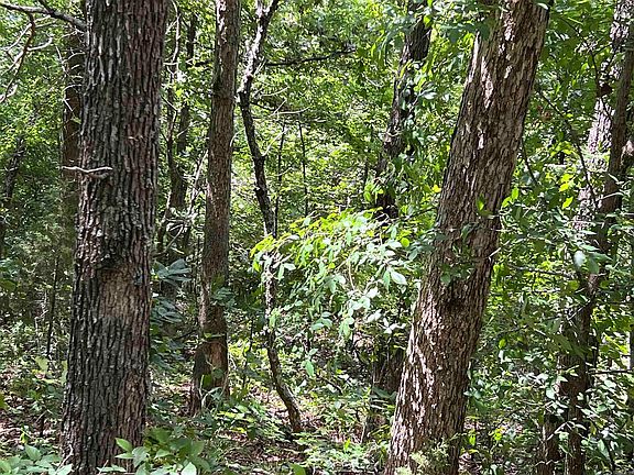 2nd image of 0 Private Road Off
