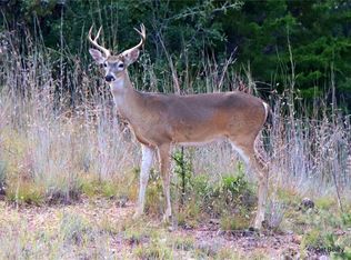 358 Southwind Rd, Bridgeport, TX 76426