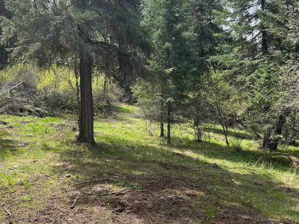 PARCEL Elk City Wagon Rd #B, Stites, ID 83552