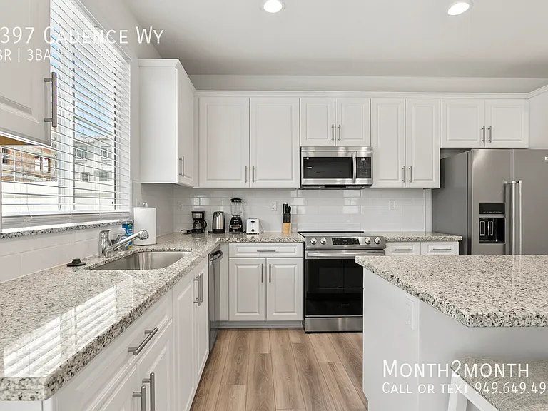 4397 Cadence Way — Photo 9
