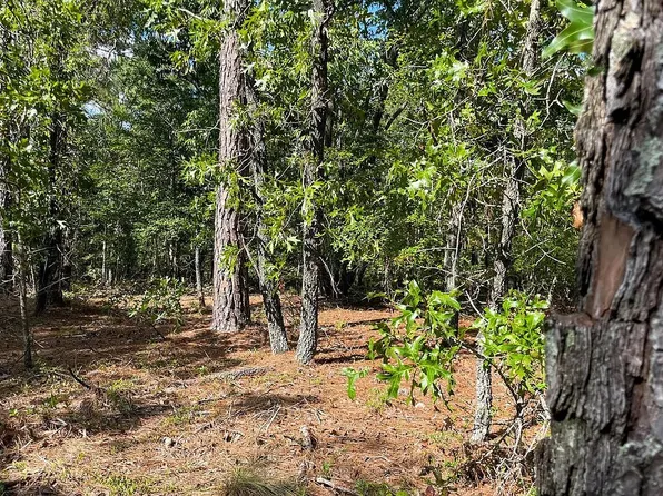 953 Nine Bark Dr, Vass, NC 28394