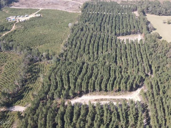 Loyd Irby Rd, Pelahatchie, MS 39145