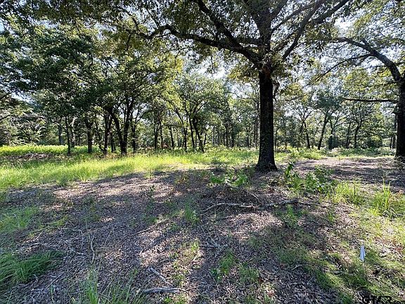 5th image of 19414 County Road 452