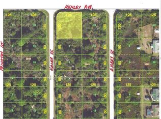 12121 Henley Ave, Port Charlotte, FL 33981