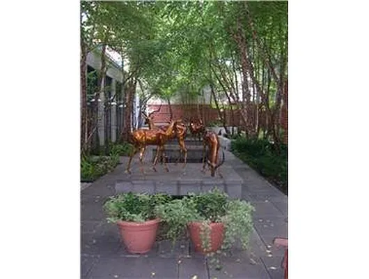 Rented by Douglas Elliman | media 10