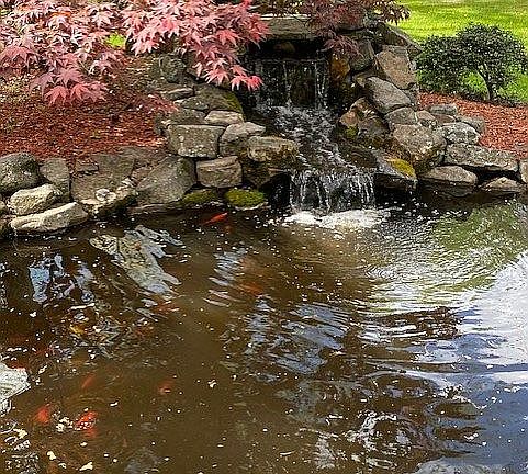 Water Fall