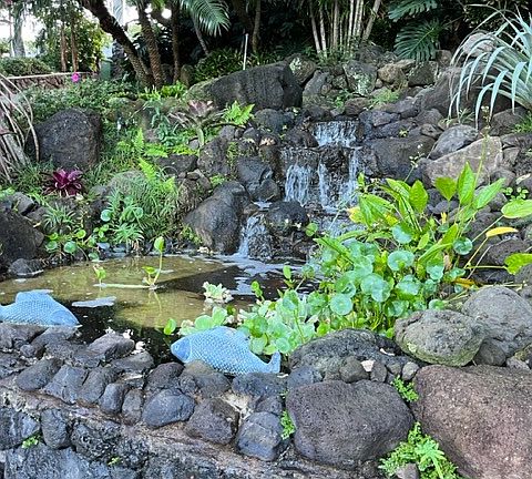 First waterfall to your left as you proceed to the lawn circle.