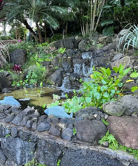 WATERFALL LEFT OF ACCESS DRIVE WAY