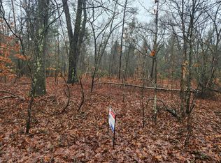 0 Vacant Ave, Twin Lake, MI 49457