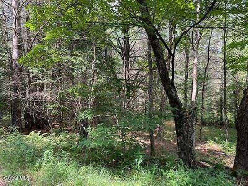 5th image of 623 Johnson Pond Road