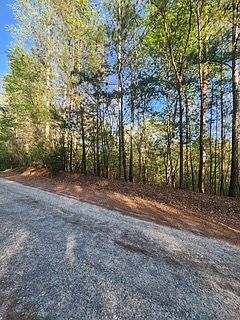 3rd image of LOT-3646R Fern Ln