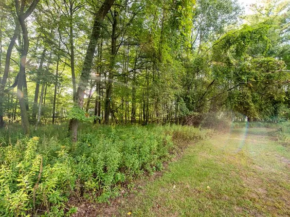 Corral Dr, Caseville, MI 48725