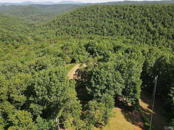 Cane Branch Rd, Western Grove, AR 72685