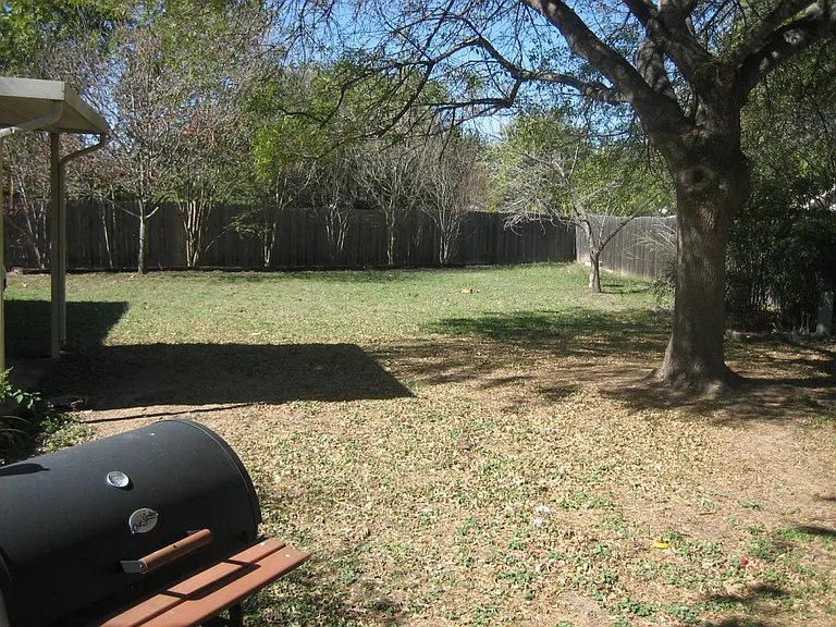 Large Backyard