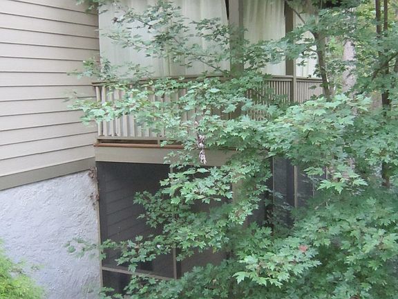 stairwell from street level leading to downstairs studio apartment
