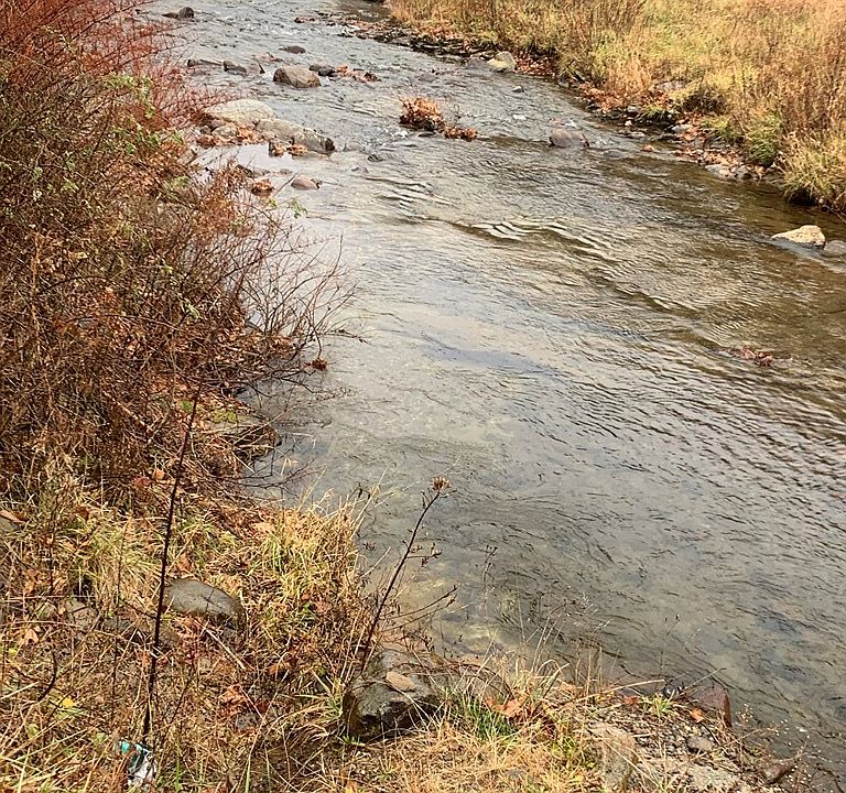 Stewart Hollow Ln, Mouth Of Wilson, VA 24363 Zillow