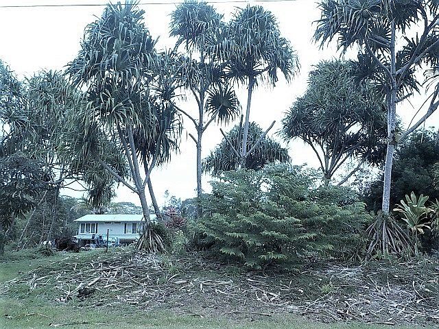 1st image of Manalo St Lot 1139