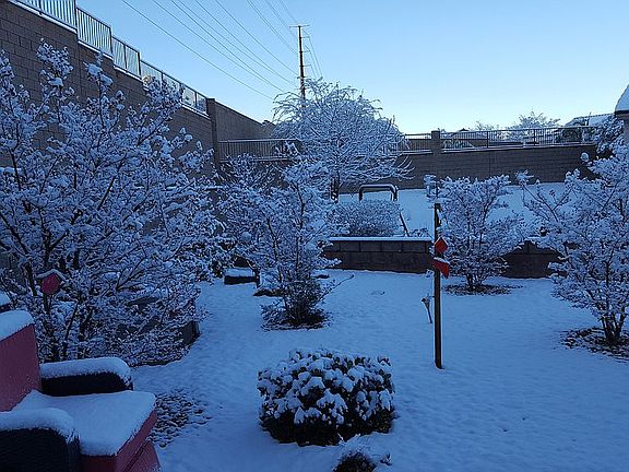 Yard 1/Winter
