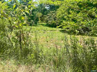 2AC Gray Rd, Mentone, AL 35984