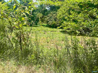 2AC Gray Rd, Mentone, AL, 35984