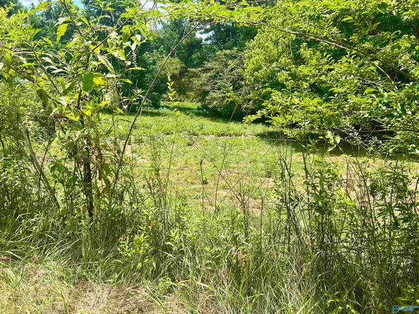 2AC Gray Rd, Mentone, AL 35984