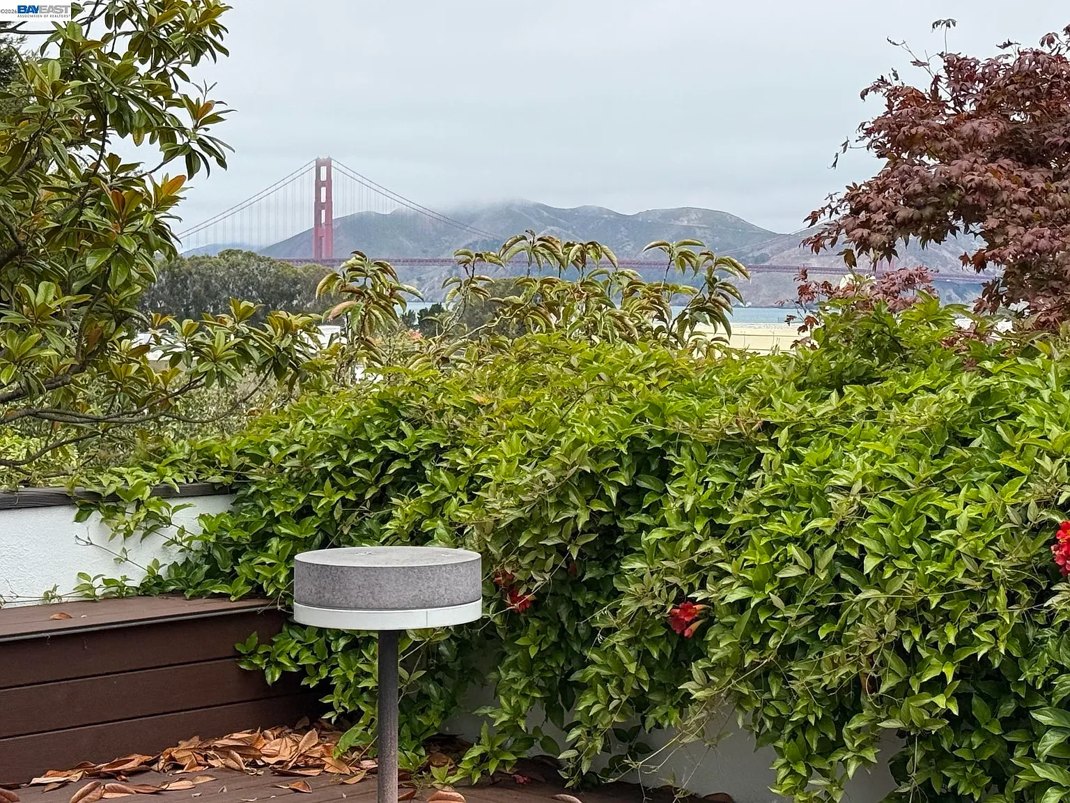 1 bed, 1120 sqft, $8,000 — Photo 2