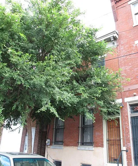 Front of house