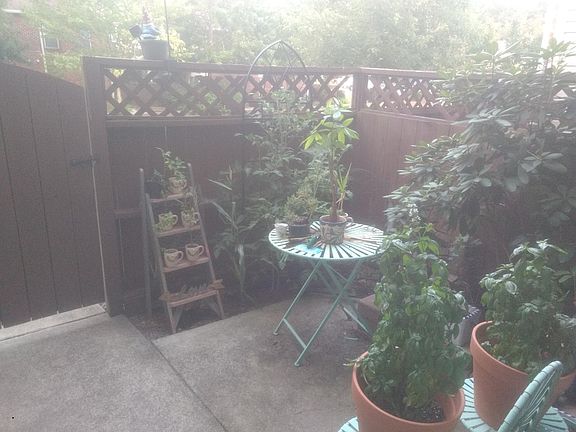 Small garden area on the front porch
