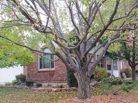 3rd image of 905 Cypress Ln
