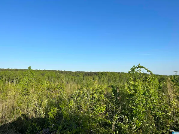 1 County Road 639, Roanoke, AL 36274