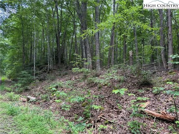 TBD Red Clover, Beech Mountain, NC 28604